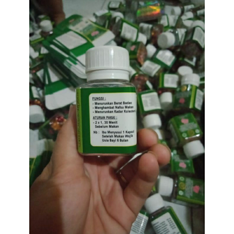 pelangsing pelakor ori