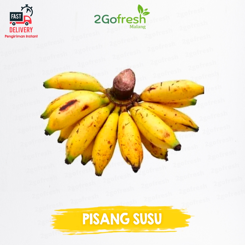 

Buah Pisang Susu Fresh - Rempah Sayur Sayuran & Buah Buahan