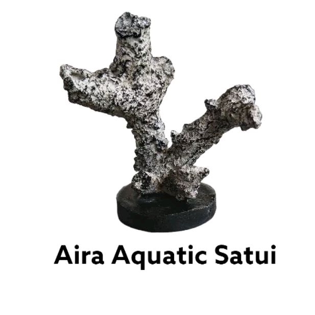 Hiasan Kerang Artistik aquarium aquascape