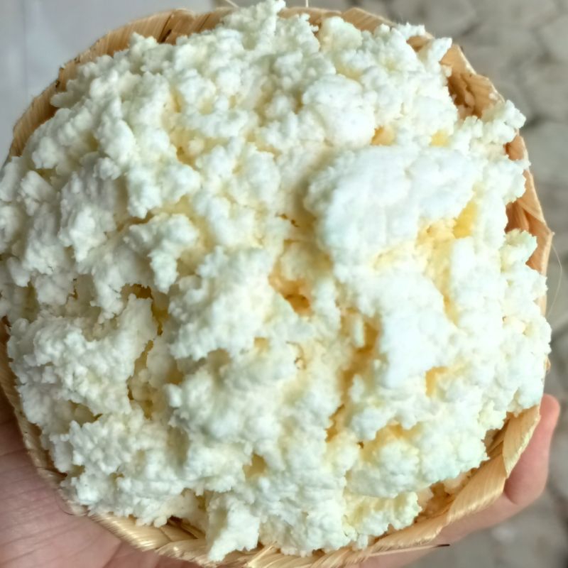 

Bibit Kefir 50 gram Anti Gagal