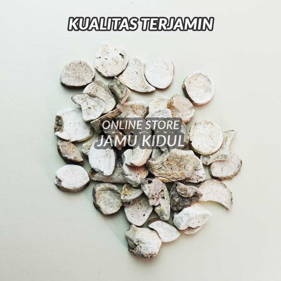 

Herbal Keladi Tikus Kering 250 gr Organik