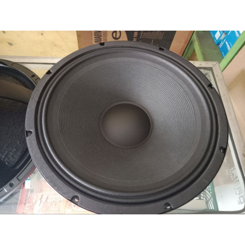 speaker enigma 15600 15 inch