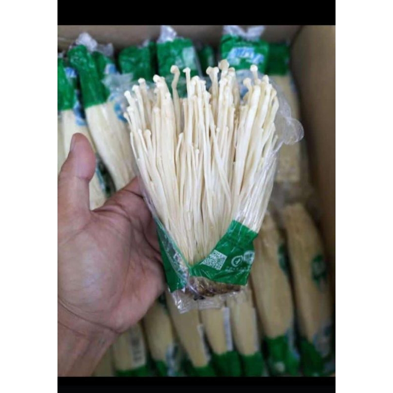 

Jamur enoki viral mantap