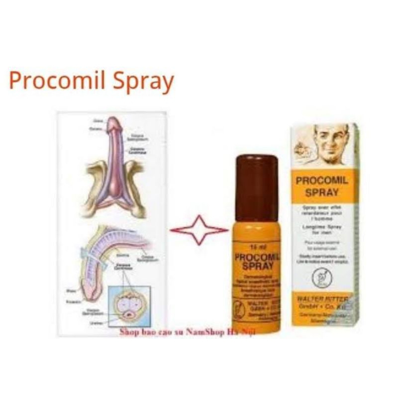 PARFUM PRIA AWET TAHAN LAMA TANPA PENGHARUM SPRAY
