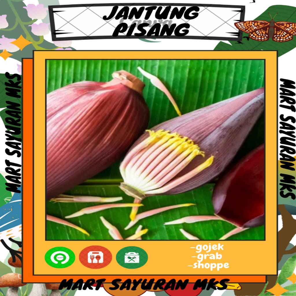 

Jantung Pisang