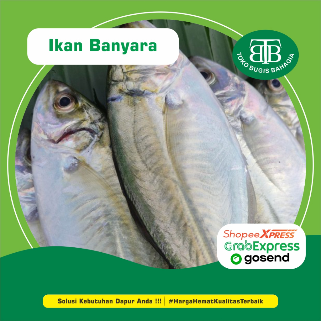 

Ikan Banyara/Como Como, Murah Makassar