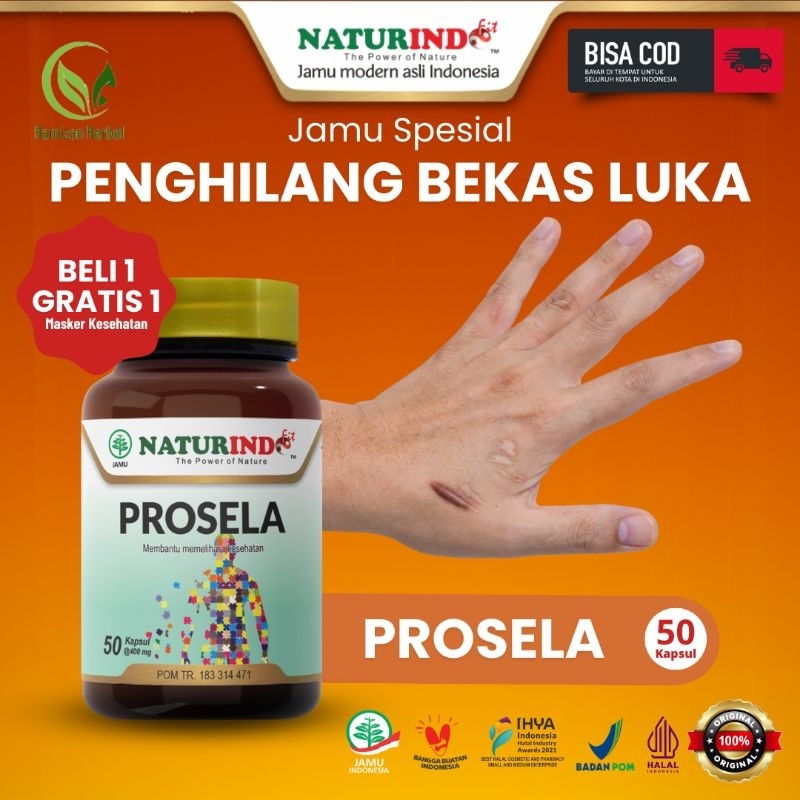 Obat Penghilang bekas luka Obat Korengan Obat Penghilang bekas Jerawat Paling Ampuh BPOM PROSELA Isi