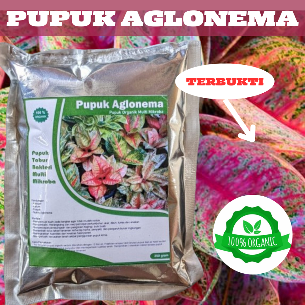 PUPUK BOOSTER AGLONEMA || PUPUK AGLONEMA || PERANGSANG TANAMAN