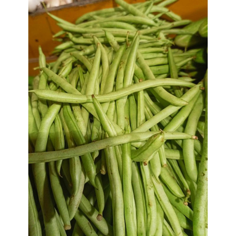 

Buncis Beby fresh tersedia di pasar Senen 250gram