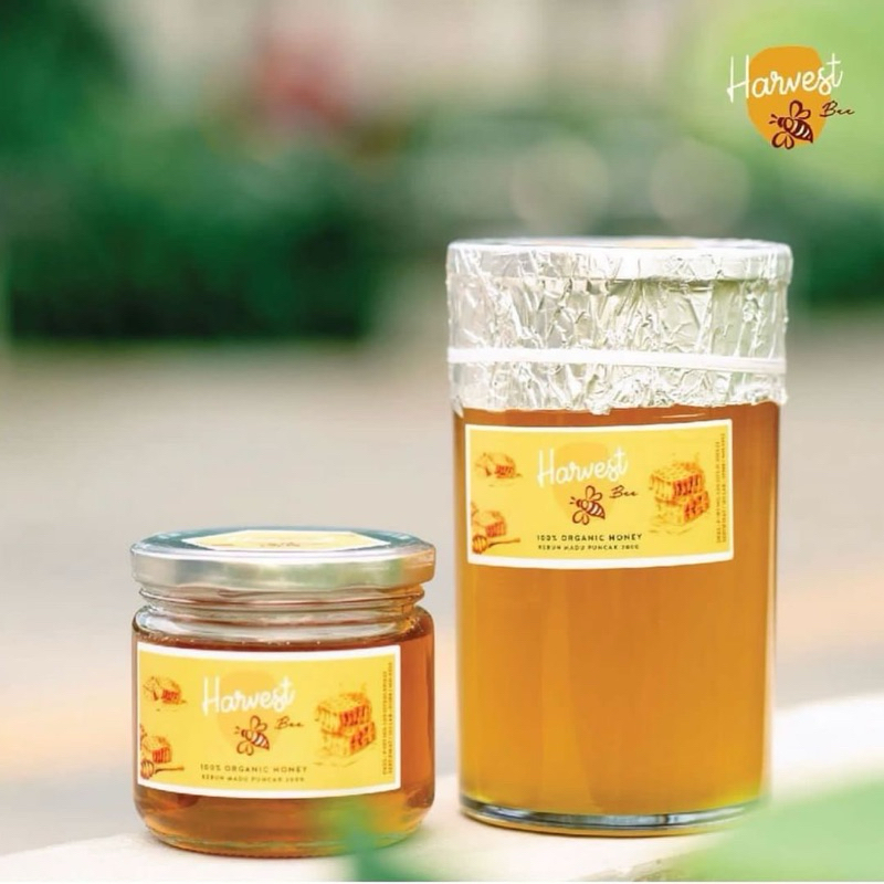 

HarvestBee Madu Hutan (Raw Honey) Sumatera | 350 GR & 1 KG | 100% Asli & Fresh