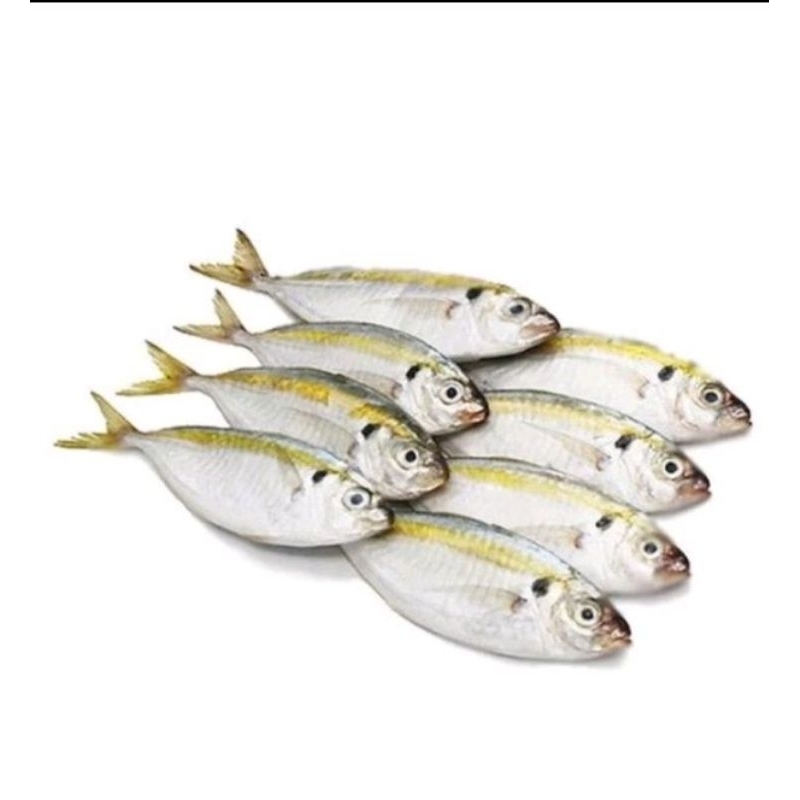 

ikan selar 1kg