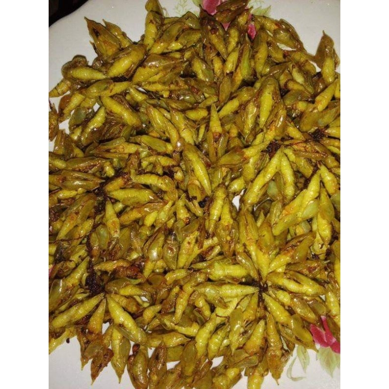 

Entung Ungkrung kepompong Johar jowar Bebas pilih RASA GURIH PEDAS GURIH PEDAS MANIS TERLARIS