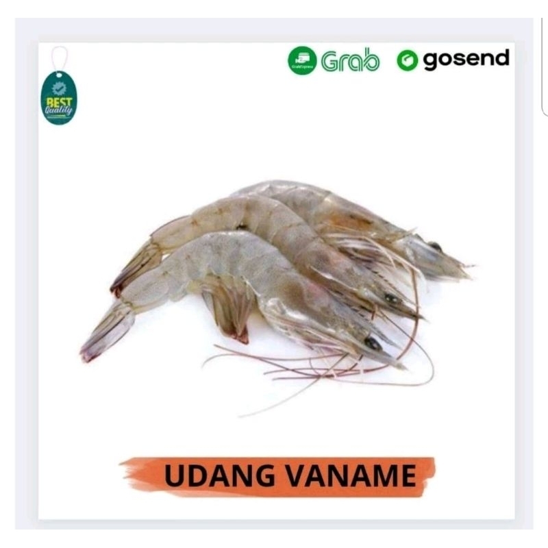 

udang sedang fresh harian 500 gram