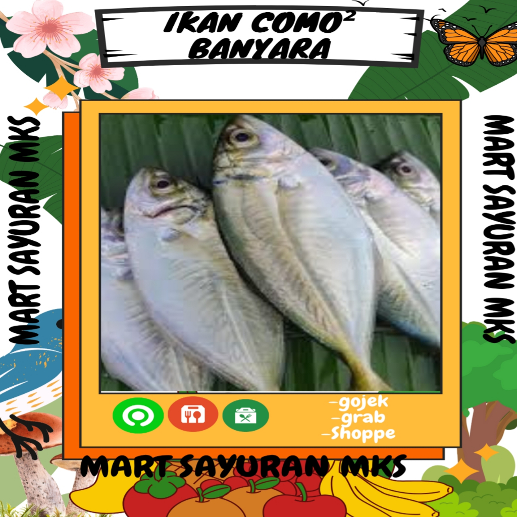 

Ikan como²banyara Murah