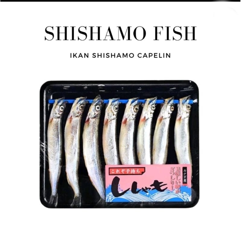 

Ikan Shisamo / Ikan Cipung / Capelin / Ikan telor - 150g / expedisi instant dalam kota saja