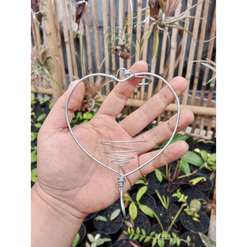 gantungan tanaman hias tillandsia bentuk love