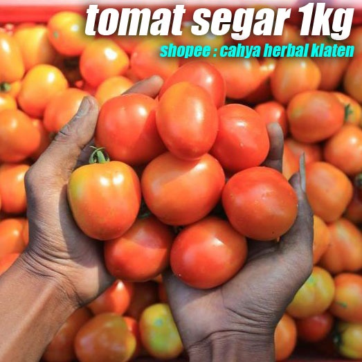 

Tomat Segar 1Kg