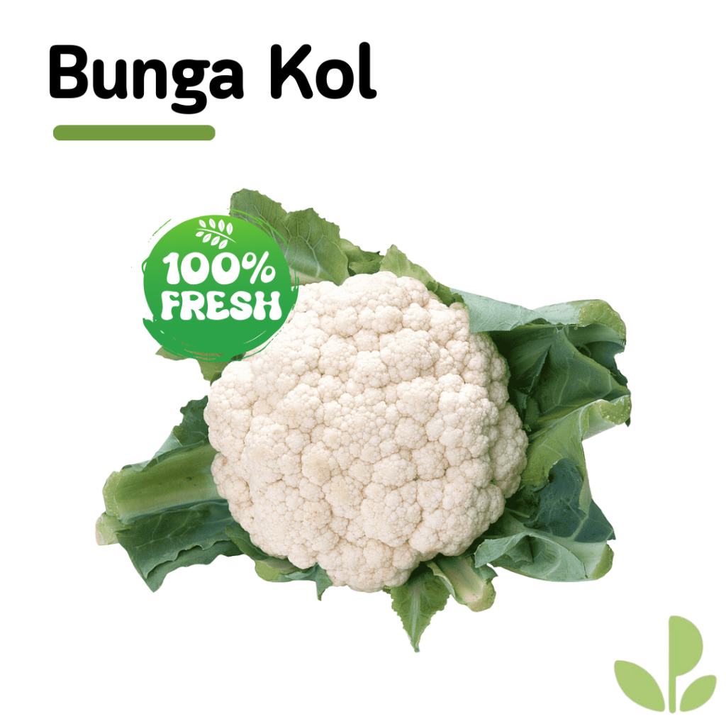 

BUNGA KOL | 500GR & 1KG