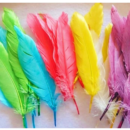 50 Pcs Bulu Ayam Warna / Bulu Ayam / Hiasan Bulu Ayam /Bulu Ayam Warna-warni / Bulu Ayam Untuk Keraj
