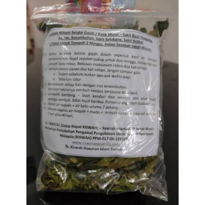 

Daun belalai gajah asli organik olahan berat 100g untuk obat herbal