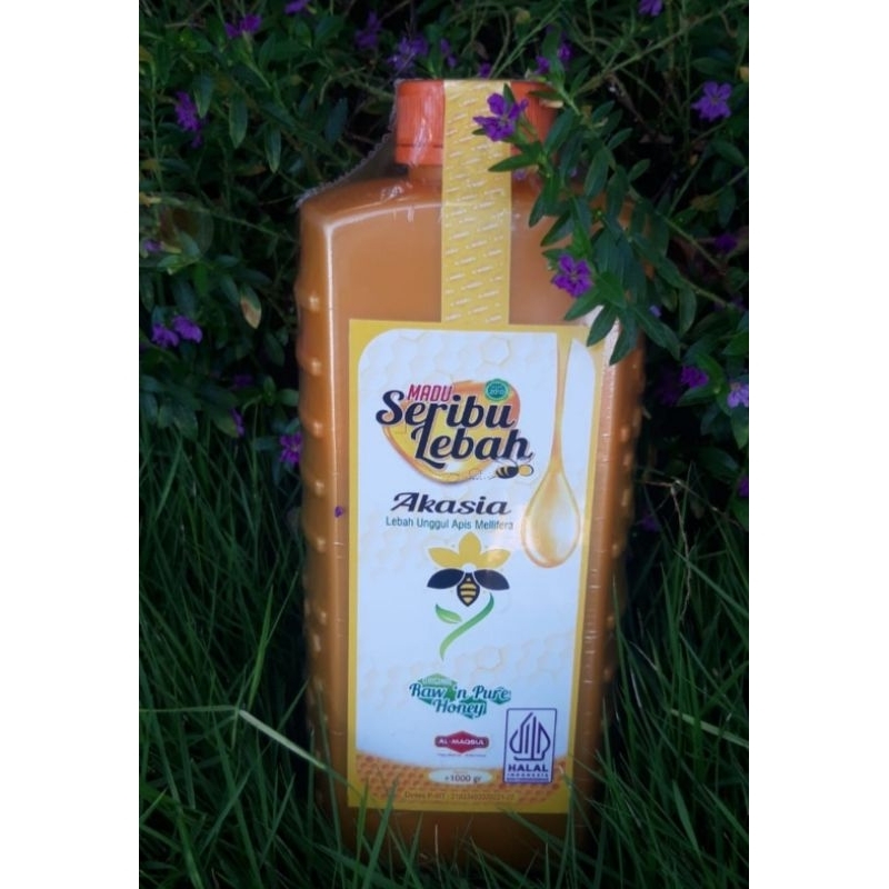 

Madu Seribu lebah