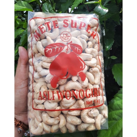 

Ayo Ramaikan PROMOKACANG METE MENTAH FRESH 1KG KACANG METE MENTAH SUPER METE MENTAH 1KG ASLI WONOGIRI CKP