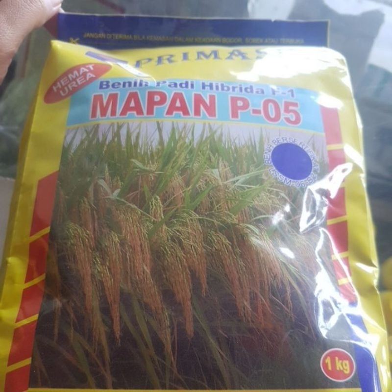bibit padi mapan 05