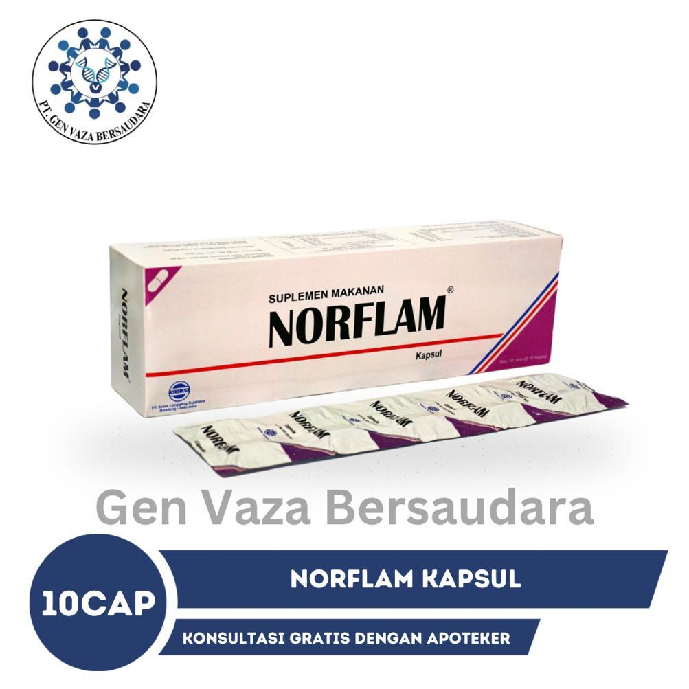 NORFLAM KAPSUL ISI 10 KAPSUL