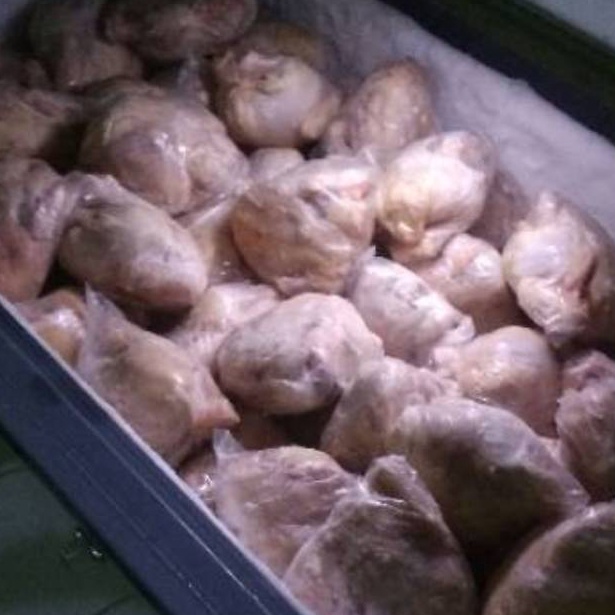 

MODEL EH391 Ayam Broiler karkas frozen segar 5 gr sd 1 gr