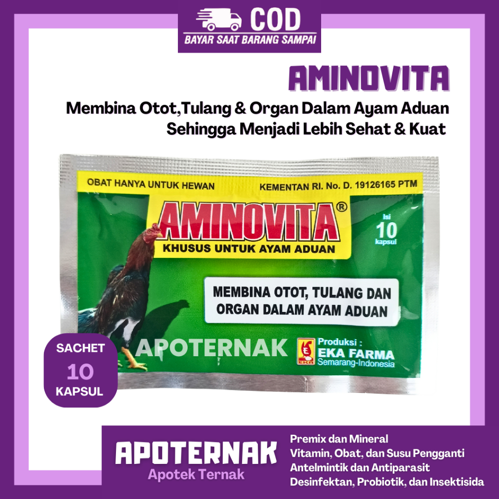 AMINOVITA 10 KAPSUL - Obat Penguat Otot Tulang & Organ Dalam Ayam Aduan - Obat Ayam Aduan - Vitamin 