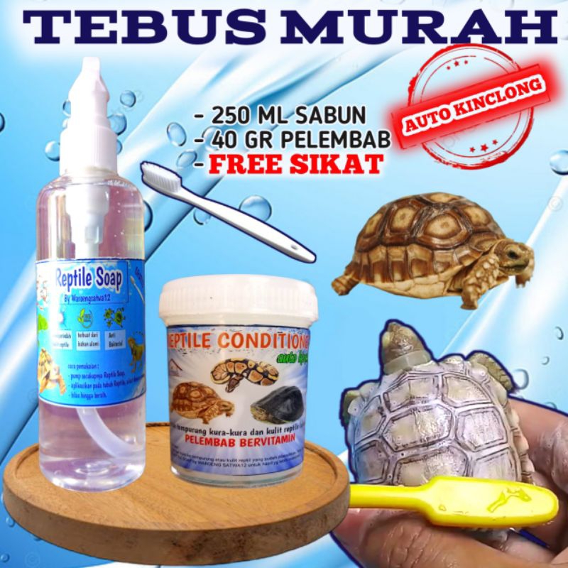 TEBUS MURAH SABUN + CONDITIONER + SIKAT SABUN KURA DARAT SULCATA TORTOISE SHAMPOO KURA AIR  BRAZIL R