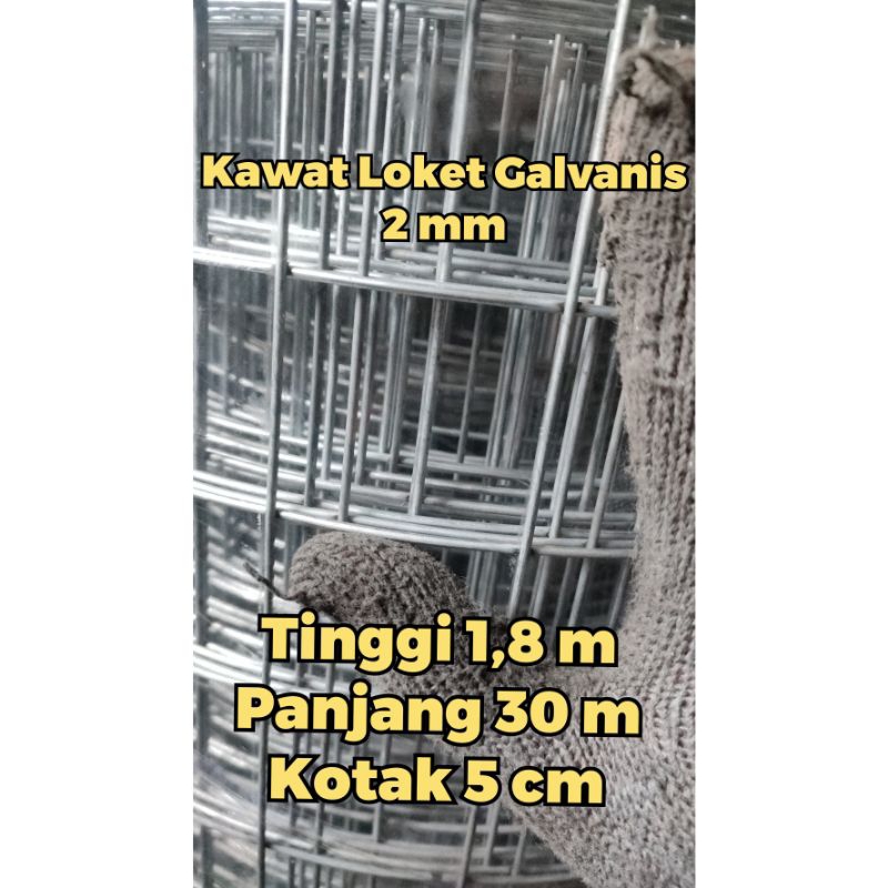 Kawat Loket Roofmesh tebal 2 mm kotak 5 cm