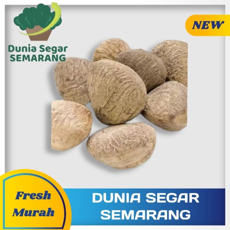 

Kluwak Kluwek Kluak Bumbu Masak