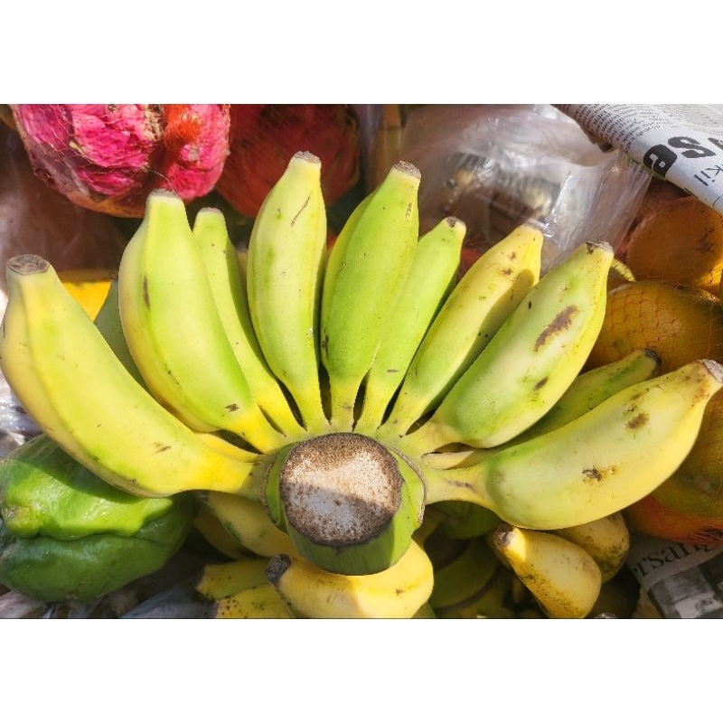 

Pisang lampung - 1 sisir