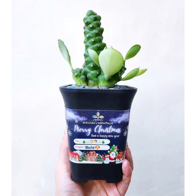 

Hampers Natal Tahun Baru - Hampers ekonomis, hampers low budget, hampers simple, hampers tanpa PO, murah tapi cakep