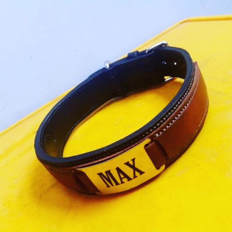 KalungAnjingKulitAsli