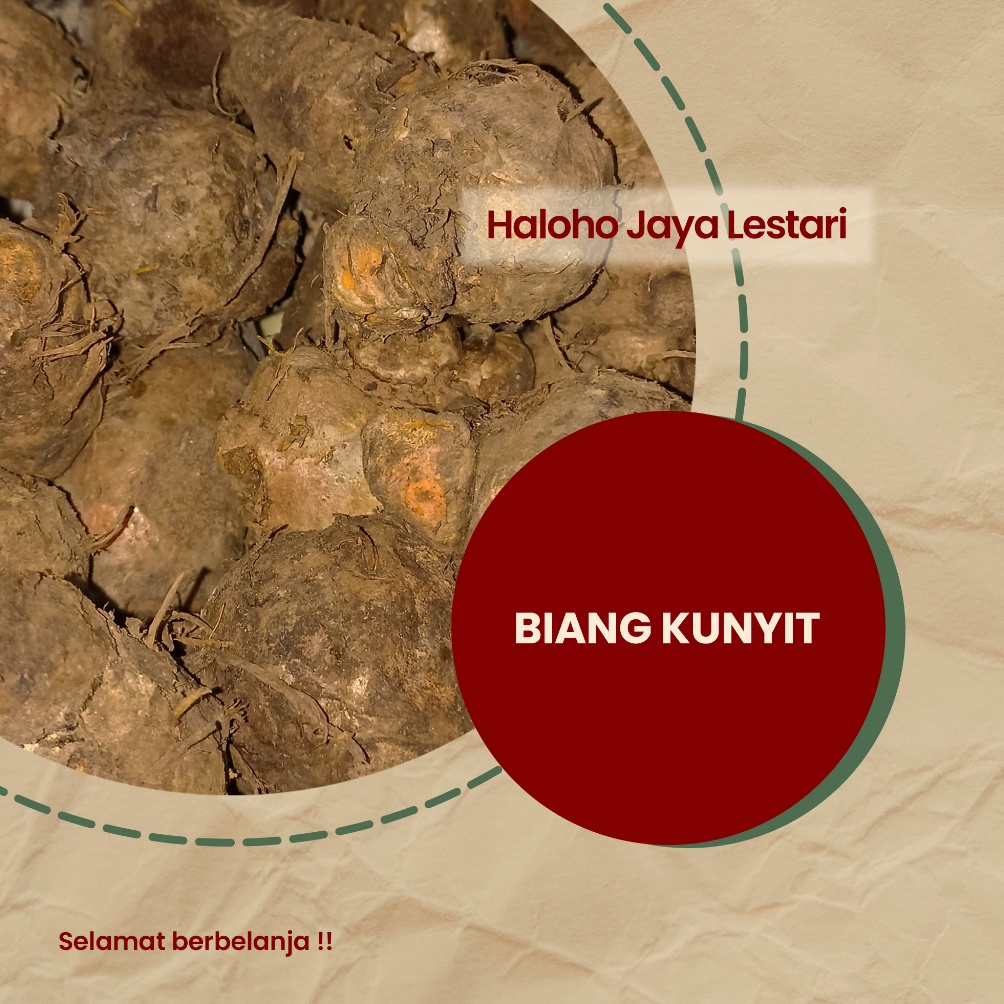 

Mdel B4ru BIANG KUNYIT SEGAR 1KG Murah Meriah