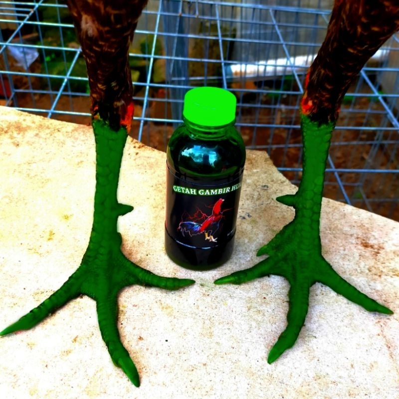 Getah Gambir Hijau - Untuk mengeraskan sisik kaki