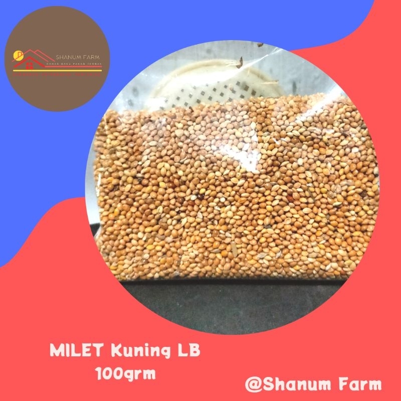 milet kuning pakan Lovebird 1000g perkutut