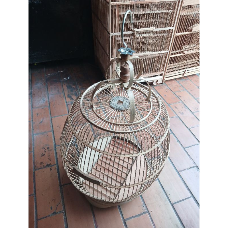 sangkar kutut gentong slorok mentah