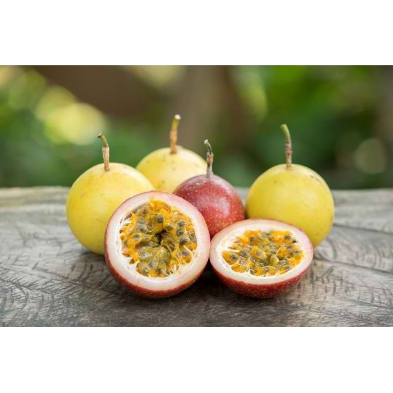 

buah markisa kuning segar