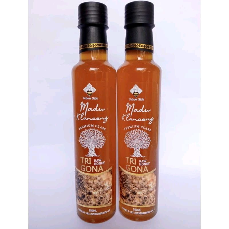 

Madu Trigona/Madu Kelulut/Madu kelanceng 250gr Premium Botol Kaca