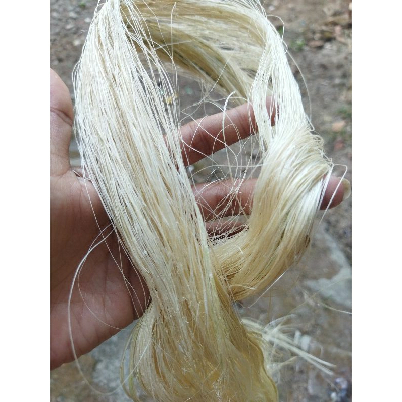 Serat nanas/ sisalan / serat alam
