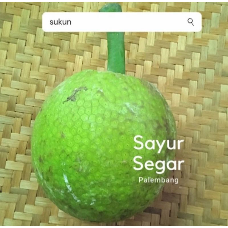 

Buah Sukun Perbuah Sayur Segar Palembang