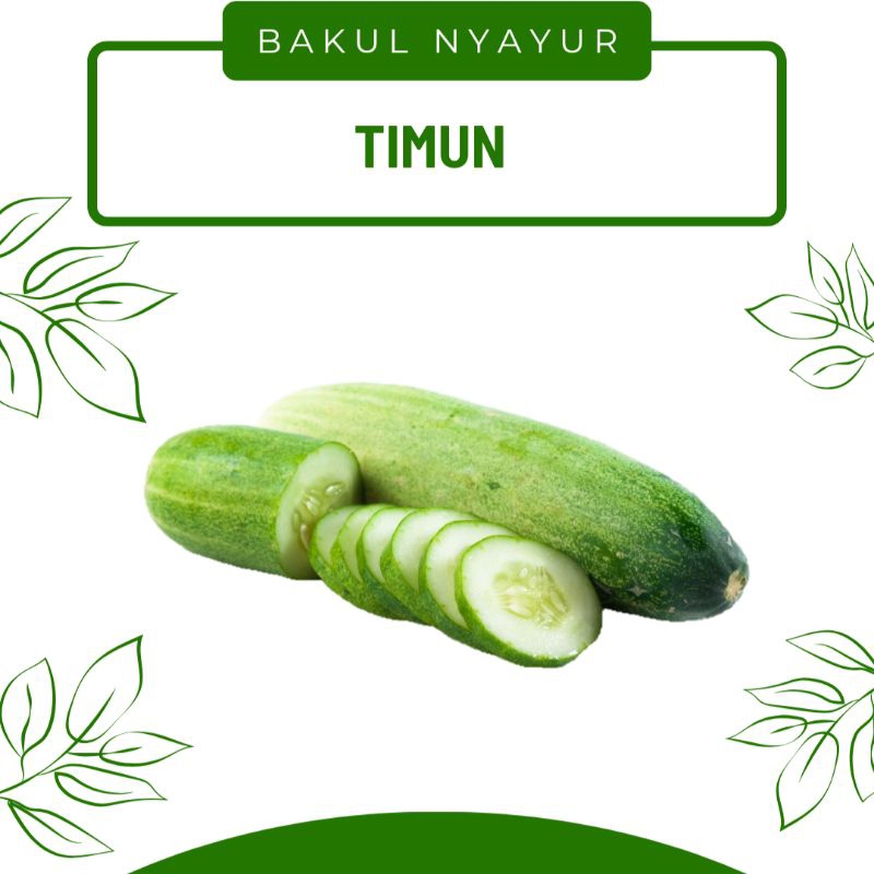 

Timun Lalapan