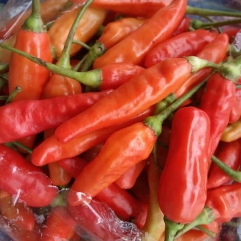 

CABE RAWIT MERAH/(CABE PEDAS ) | SAYUR MURAH | SAYUR FRESH