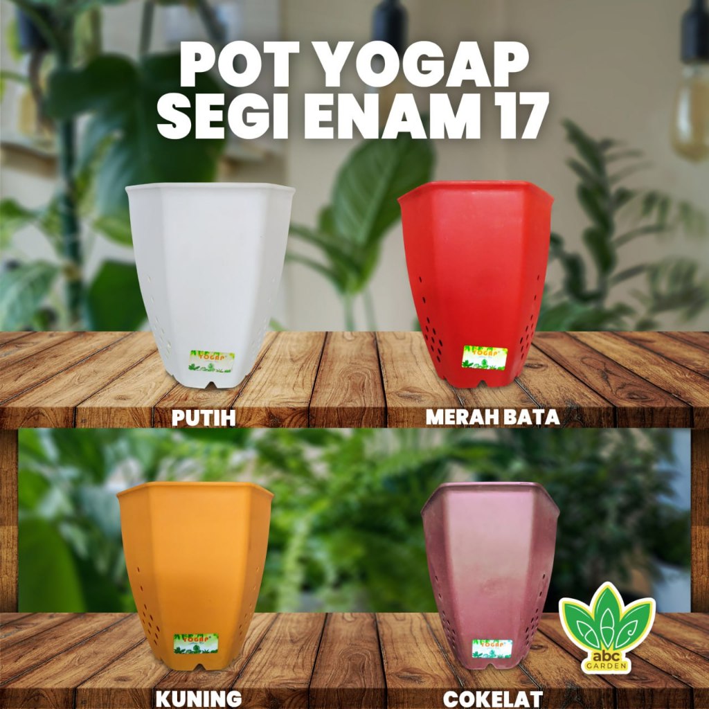 [1 pcs] Pot Yogap Segi Enam 17