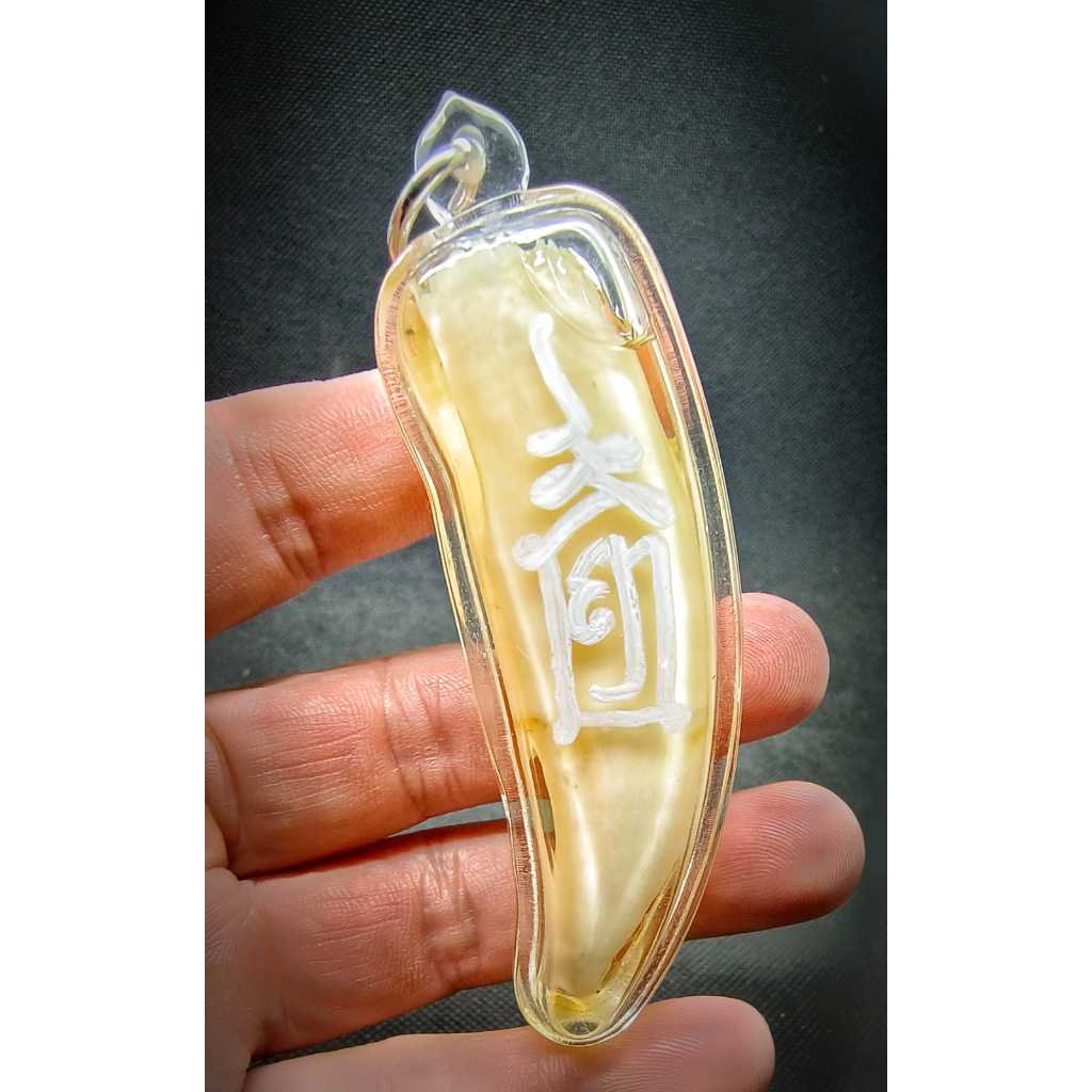 Rare and best Kiew Jorakae Payawan by ajhan tim B.E. 2500