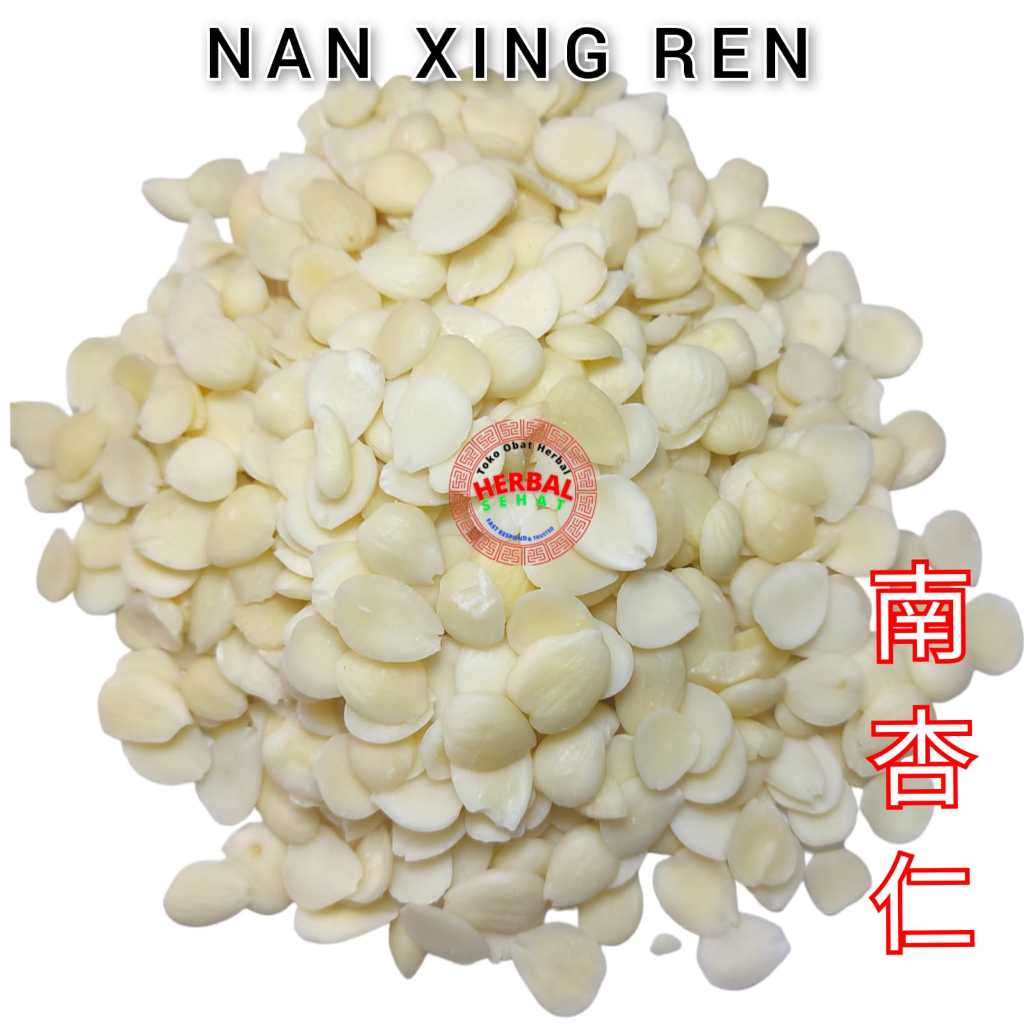 

300 gram Guang Nan Xing Ren 南杏仁 Sweet Almond Seed Apricot Seed Manis Fresh Original Herbal