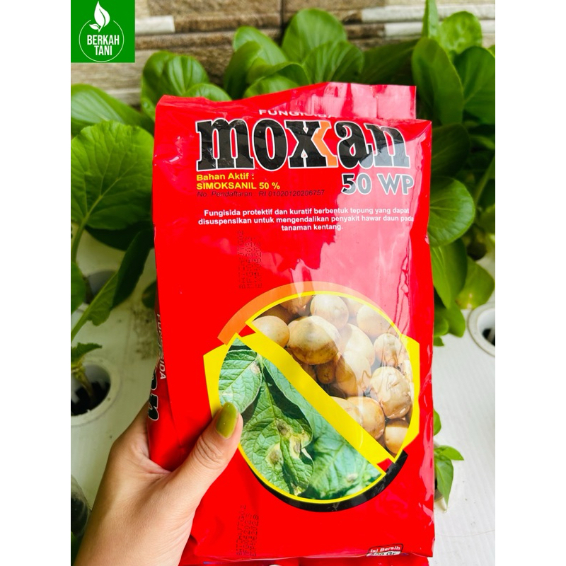 Fungisida MOXXAN 50WP  500gr , Moxan Simoksanil